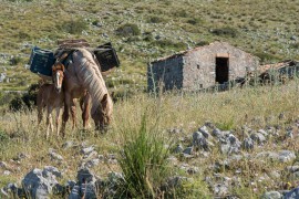 15 spettacolari idee per gli jazzi del Monte Bulgheria