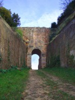 Domenica 6 novembre visita gratuita al Parco archeologico di Velia