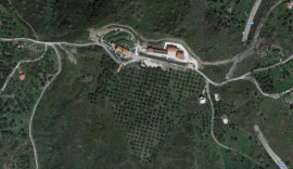 II Parco indice un bando per la valorizzazione dell'Uliveto di Tenuta Montesani