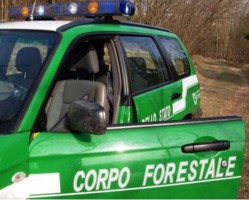 S. Giovanni a Piro: deferito alla Procura un uomo per cattura e detenzione di avifauna di specie particolarmente protetta e maltrattamento di animali