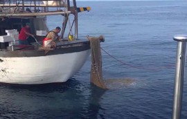 Pesca Volante, Alfieri risponde a Cammarano: stiamo lavorando al regolamento