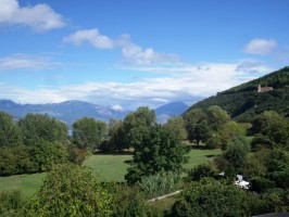 Agricoltura, approvato bando per finanziare le imprese industriali del settore