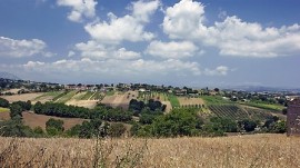 Sviluppo rurale: aperti i termini per la presentazione delle domande del Bando della Tipologia di intervento 4.2.1