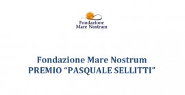 Il premio 'Pasquale Sellitti' nel segno del 'Leon de Caprera' e l'idea di un museo virtuale a Camerota