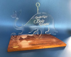 Sabato 3 e domenica 4 giugno il quarto trofeo Baia di Sapri