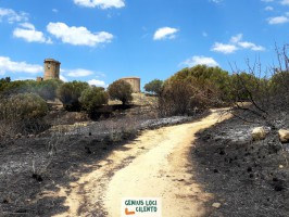 Un vasto incendio colpisce il Parco Archeologico di Velia, l'Ass. Genius Loci Cilento chiede l'istallazione di termocamere