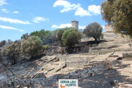 Dopo l'incendio della settimana scorsa, la Soprintendente Casule riapre la parte bassa del Parco Archeologico di Velia
