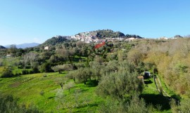 Omicidio di Caruso, giudizio immediato per Nutu
