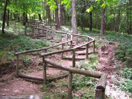 Parte ad Ispani il progetto ''Vivere il bosco'' attuato  da  Fare Verde Cilento