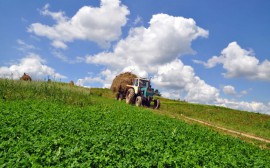 Il SUAP Cilento offre piena disponibilita' agli imprenditori per le autorizzazioni legate ai bandi PSR