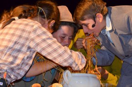 Applausi e risate per la Festa delle Contrade: buon cibo, musica e commedie (foto)