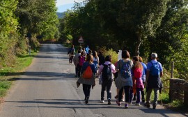 I devoti di Maria in cammino da Camerota al Santuario di Pietrasanta (video e foto)