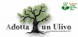 Cilento, tutto pronto per Adotta un ulivo