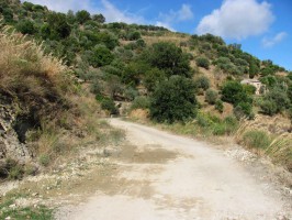 ''Strade fantasma e denunce del Sindaco Pescatore'', conferenza stampa a Roma della Fondazione Angelo Vassallo