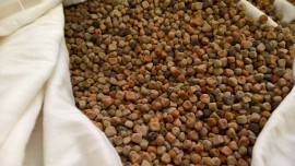 Ritorna la Sagra della Maracucciata, Lentiscosa e le sue ''vie del gusto'' pronta ad accogliere turisti ed appassionati nel nome della tradizione