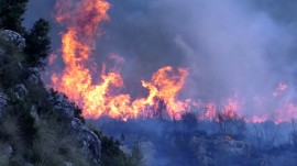 Incendi boschivi estate 2018: divieto assoluto di bruciatura di vegetali 