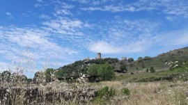 Elea/Velia attraverso il racconto dei viaggiatori antichi