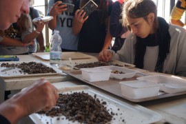 Camerota, Comune e Universita insieme organizzano corso aggiornamento su Preistoria