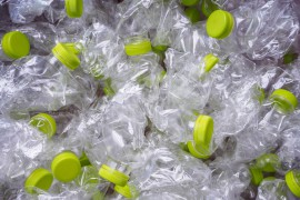 Al via il Progetto ''Acqua si...ma plastic free!'