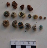 Incredibile scoperta a Camerota, ritrovata una collana dell'eta' del bronzo