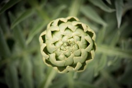 BIANCO TANAGRO: svelato il programma della nuova edizione!