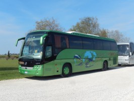 Campania green bus: sconto per turisti su autolinee partner