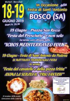 Due giorni di festa a Bosco in onore di Sant'Antonio. Buon cibo, musica e i mercatini dell'Ass. Ad Arte