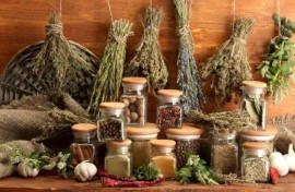 A Bosco si festeggia il Solstizio d'estate, tra erbe, riti e astri
