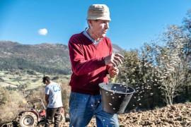 Sostieni il Palio del Grano e il Campdigrano 2019