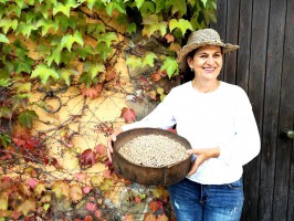 Corbella Experience: continua l'autunno goloso tra mirto e corbezzoli