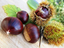 Valorizzazione delle tipicita', gemellaggio tra Pollica e Laurito. Oggi la presentazione del progetto CastaniCultura