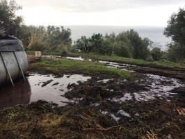 Pisciotta: frantoio oleario non a norma, sospensione attivita' di spandimento delle acque di vegetazione