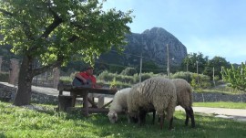 Siamo gente di montagna, chi ra vita nun si sbaglia! La canzone di Luigi Marotta riadattata per San Giovanni a Piro
