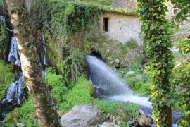 Riaperta l'Oasi WWF Grotte del Bussento di Morigerati