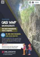 Morigerati, bus navetta gratuita per i turisti, Grotte del Bussento piu vicine