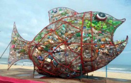 Al via la raccolta fondi per i Pesci mangia plastica a Sapri